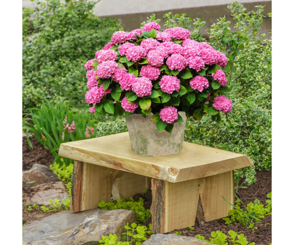 2' Briar Patch Flower Pot Bench - Image 2