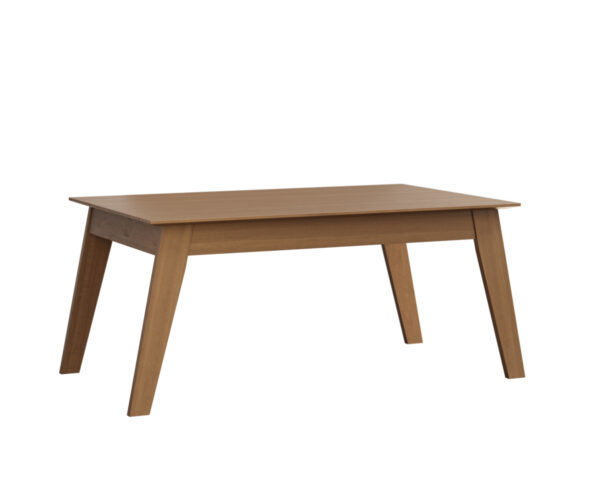 Astro Dining Table