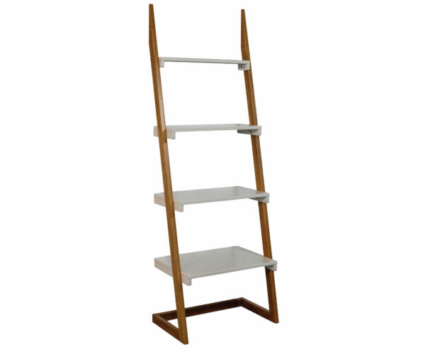Ladder Book Shelf